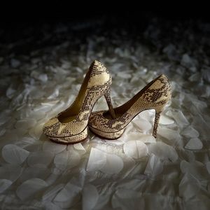 Brand new BCBG platform snake skin Sz 6 1/2 shoes
